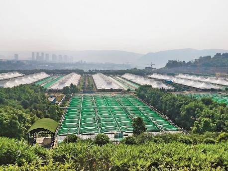 重庆鸡冠石污水处理厂